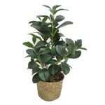 Planta-artificial-con-maceta-165x51-cm-2