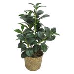Planta-artificial-con-maceta-165x51-cm-3