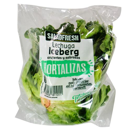 Lechuga Iceberg Saladfresh