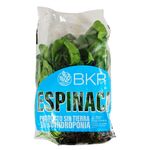 Espinaca-Baby-Hidroponica-0