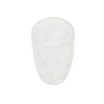 Vaso-en-Acrilico-Transparente-Diseño-Hojas-367-ml-0